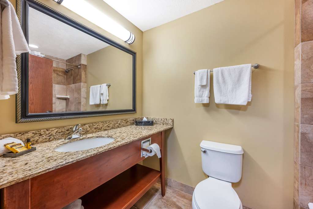 Best Western Plus Grand Island Inn & Suites - photo 14