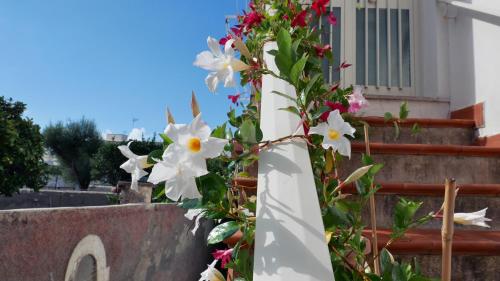 Villa Le Scale — 4-Star Luxury Hotel in Anacapri, Italy