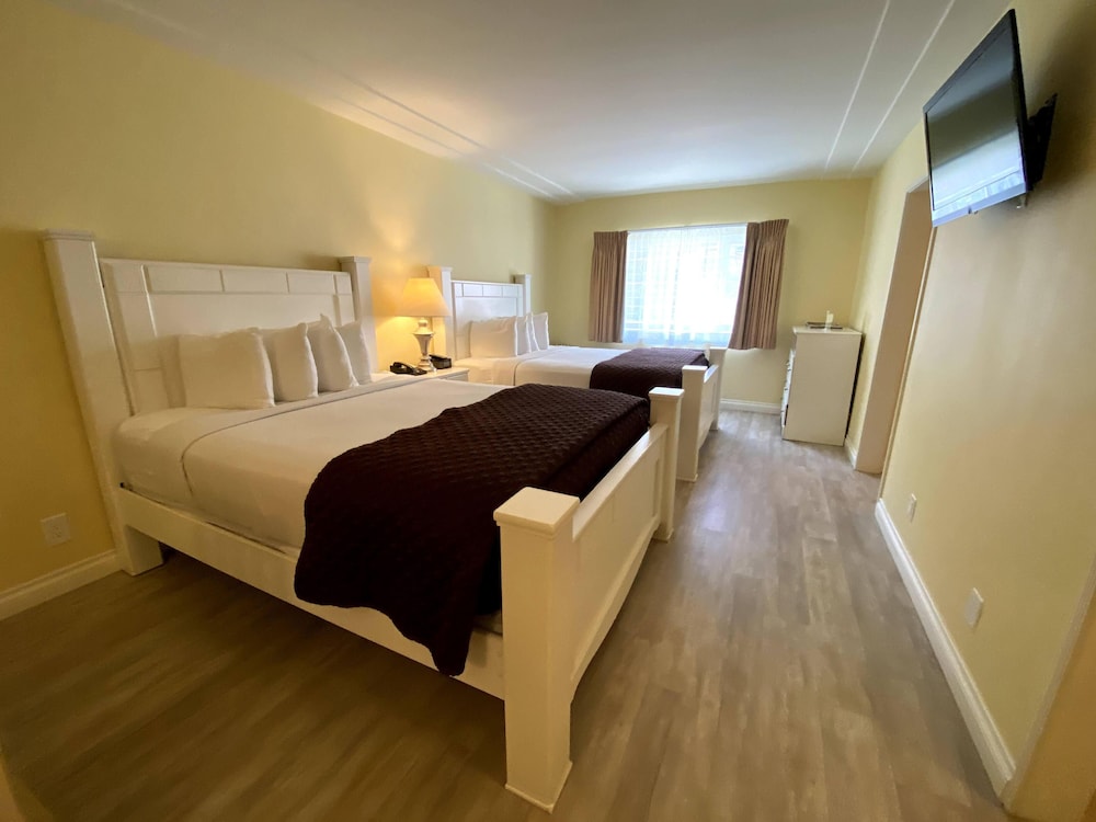 Hollywood Celebrity Hotel - photo 23