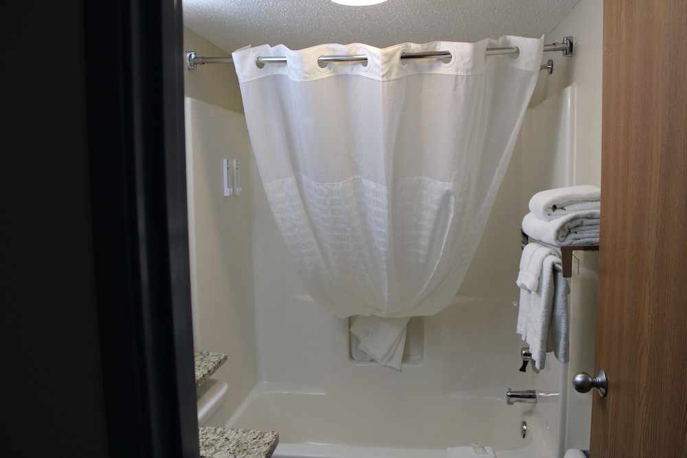 Quality Inn Mount Pleasant - photo 19