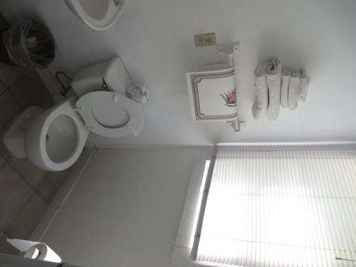 Royal Palms Motel - photo 11
