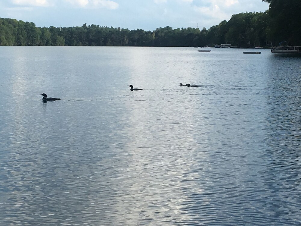 Dixon Lake Resort - photo 39