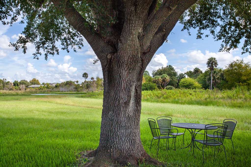 Travelodge by Wyndham Deltona - photo 35