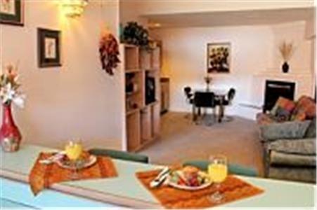 The Inn At Paradise - photo 13