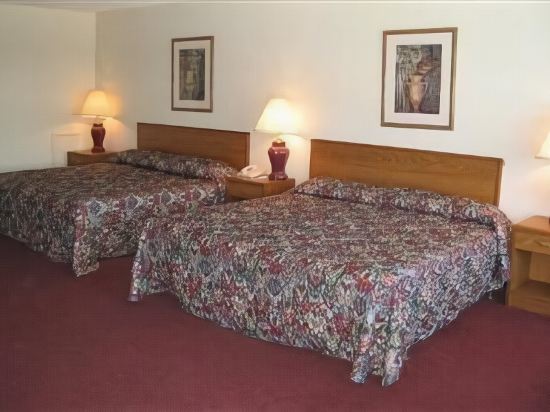 Carolina Duke Inn - photo 6
