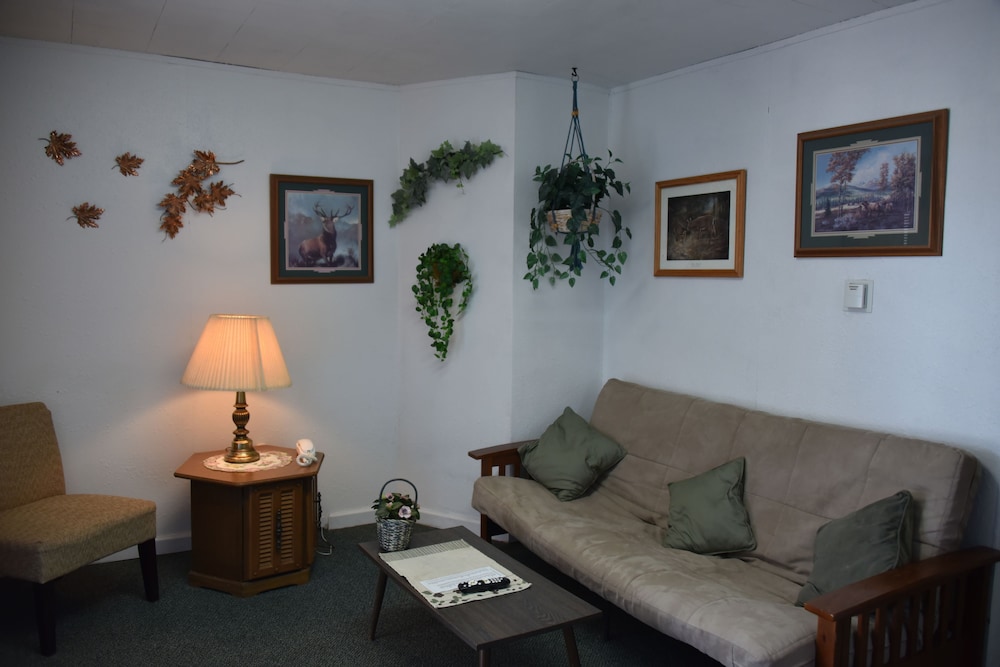 Royals Inn Motel - photo 19