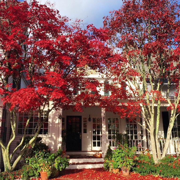 Hob Knob — hotel in Edgartown