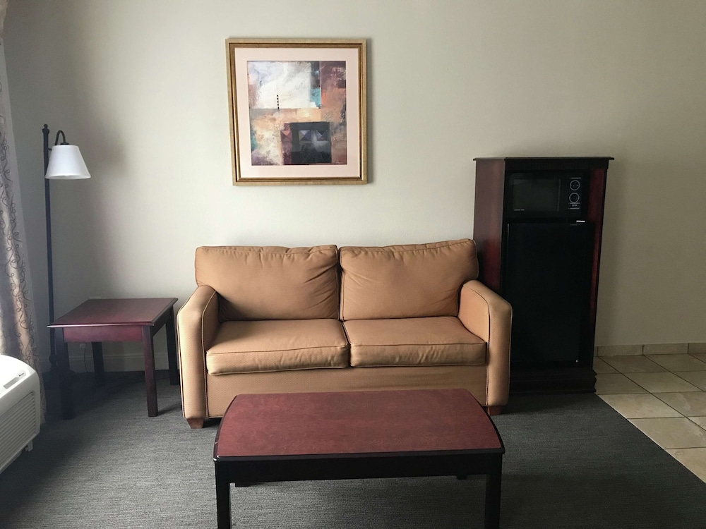 Hampton Inn Vidalia - photo 17