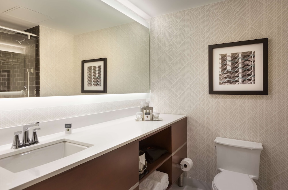DoubleTree by Hilton Hotel & Suites Houston by the Galleria - photo 38