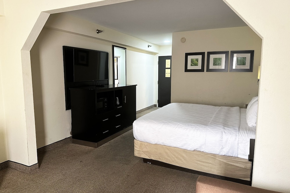 Oyo Hotel Rome West Ga - photo 29
