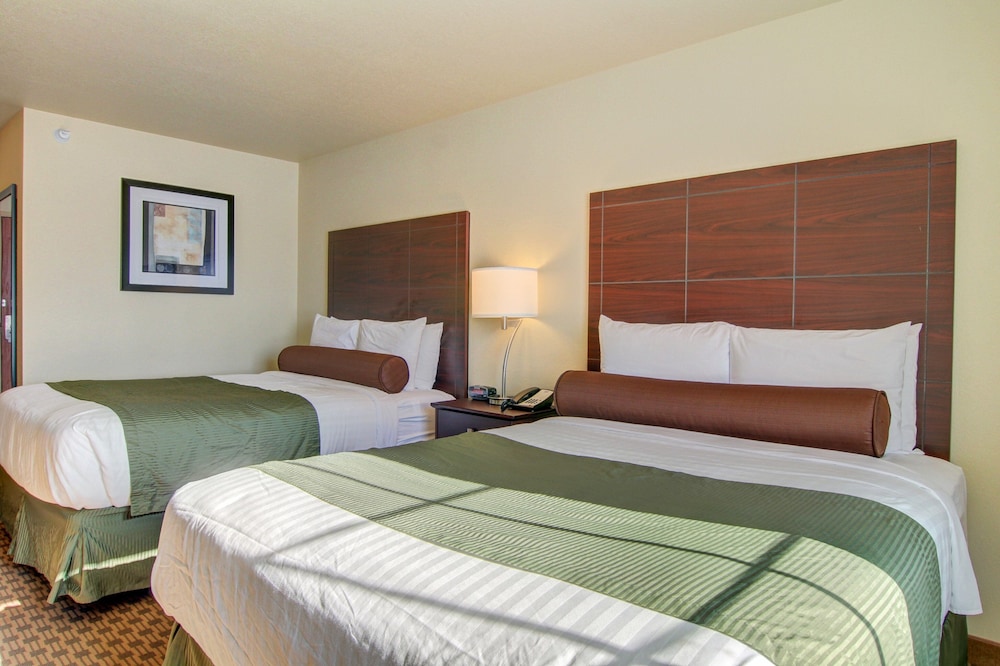 Cobblestone Inn & Suites Steele - photo 12