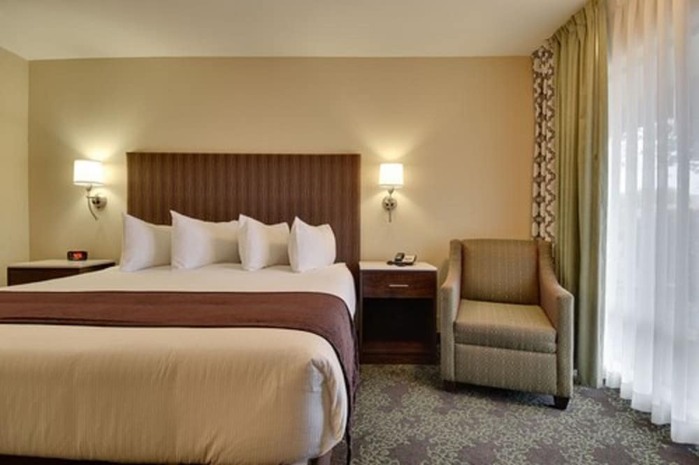 Vagabond Inn Bishop - photo 2