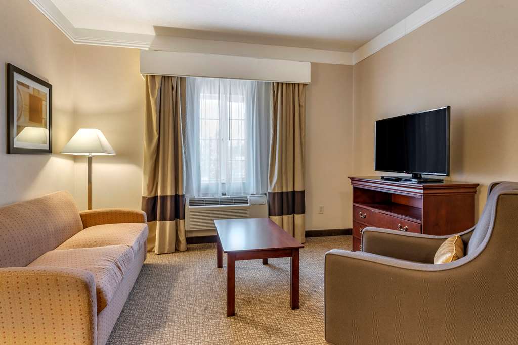 Comfort Suites Linn County - photo 22