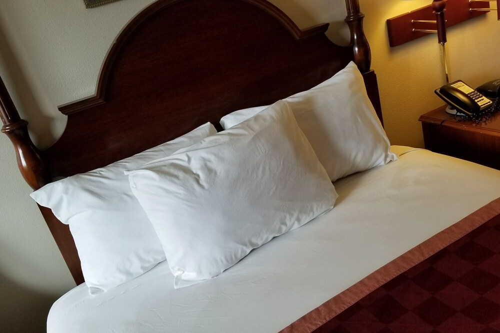 Hotel Manteo - photo 29