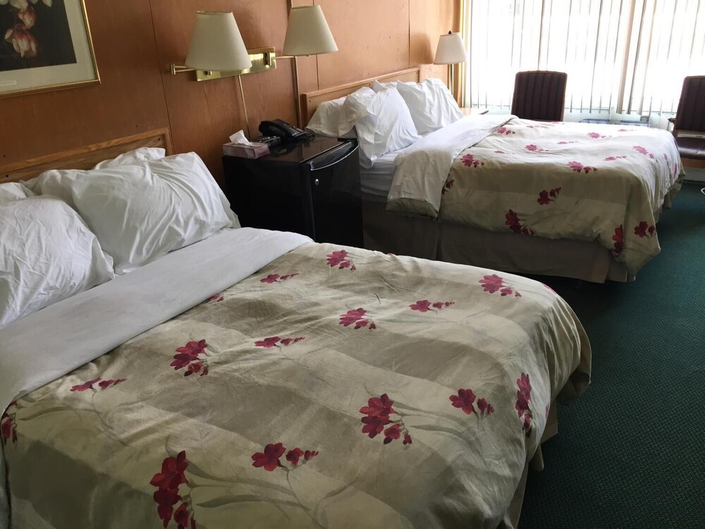 The Hotel at Falcon lake — Kenora — photo 4