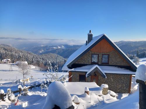 Domek u Johnnego in Piwniczna-Zdroj, Poland
