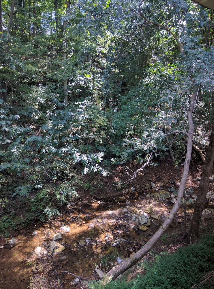 Sugar Creek Retreat - photo 47