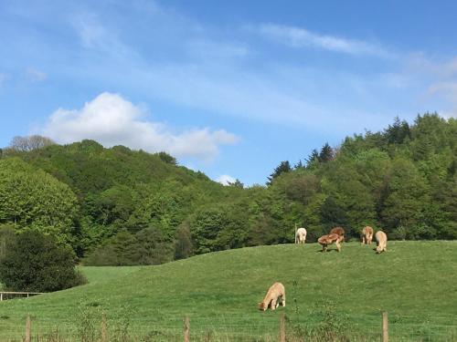 Lythe brow in Lancaster, United Kingdom