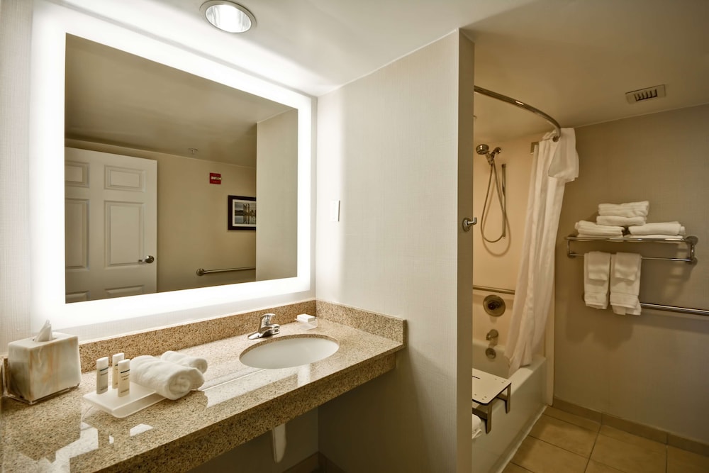 Homewood Suites by Hilton Dulles Int'l Airport - photo 22