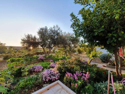 Apartment Nika — 4-Star Luxury Hotel in Rab, Croatia