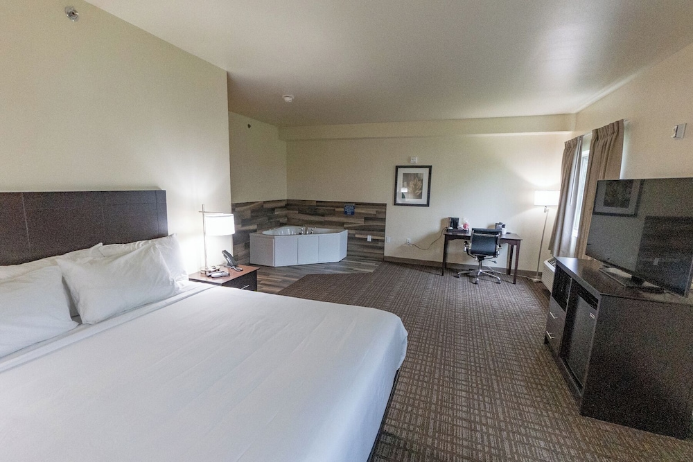 Cobblestone Inn & Suites Sheldon - photo 14