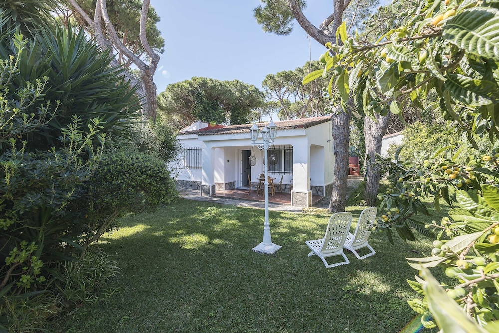 Las Camelias in Chiclana de la Frontera in Chiclana De La Frontera, Spain