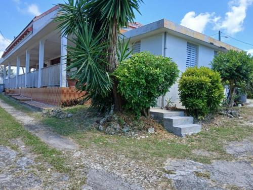 Villa Havre des Tropiques — 4-Star Luxury Hotel in Sainte-Anne, Guadeloupe