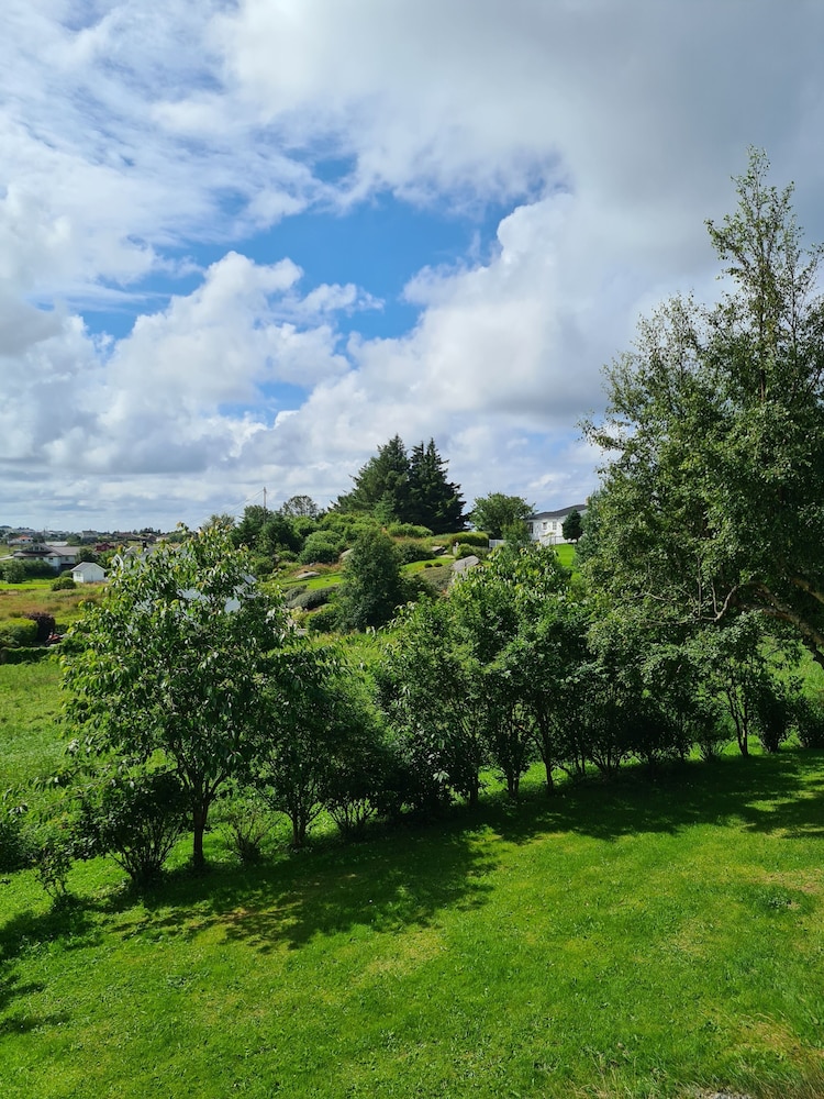 Dugneberg — Haugesund — photo 5