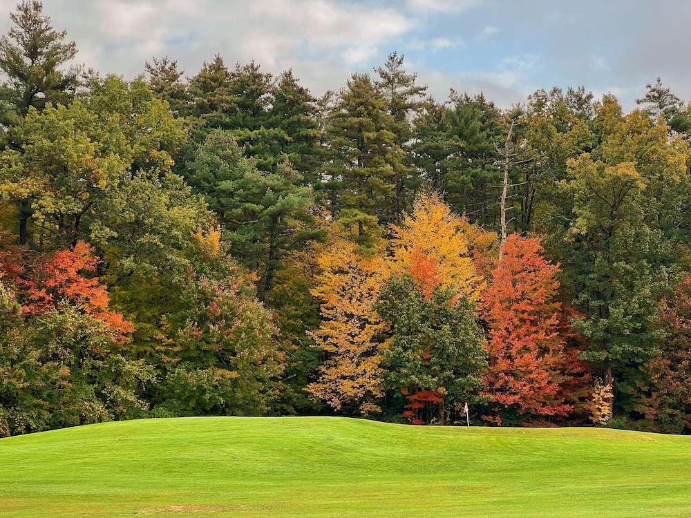 Gideon Putnam Resort And Spa - photo 37