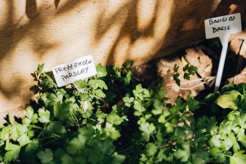 Giardino del Foro — Palermo — photo 4
