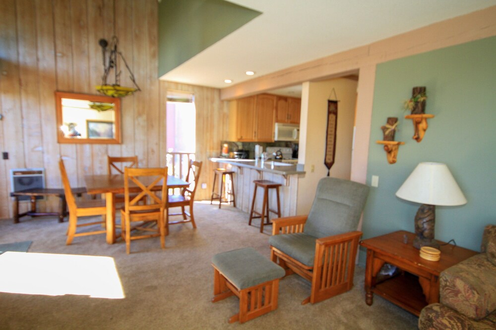 Mammoth Ski & Racquet Club #64 Pet - photo 8