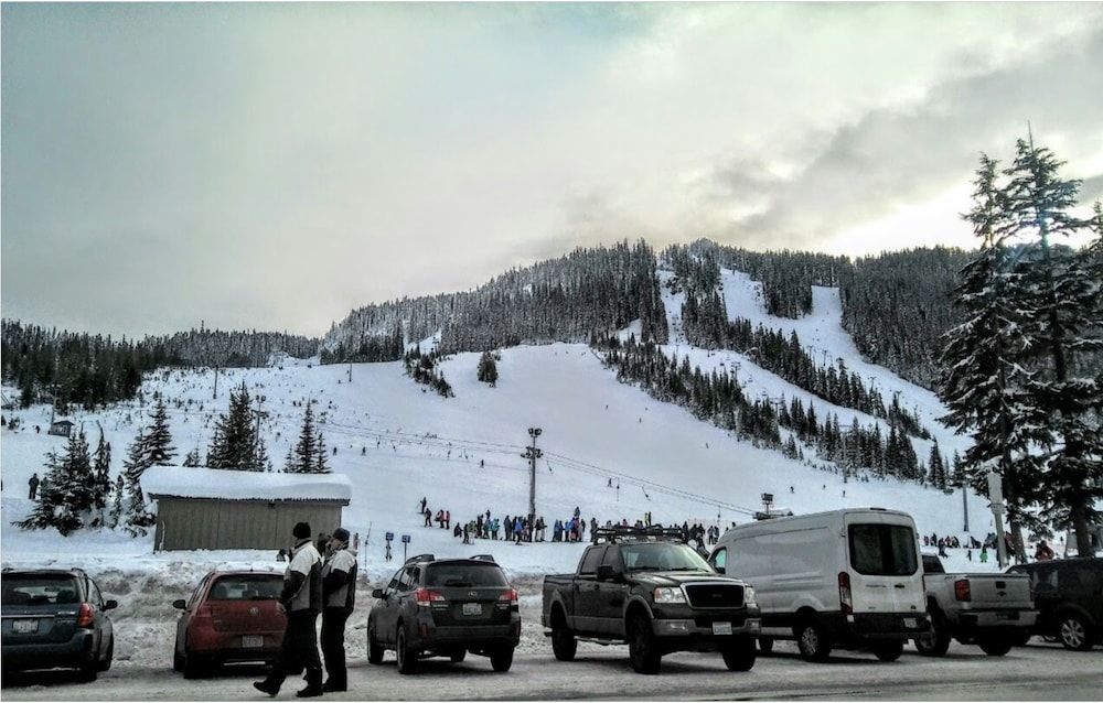 Packwood Family Ski and Vacation Getaway - photo 23