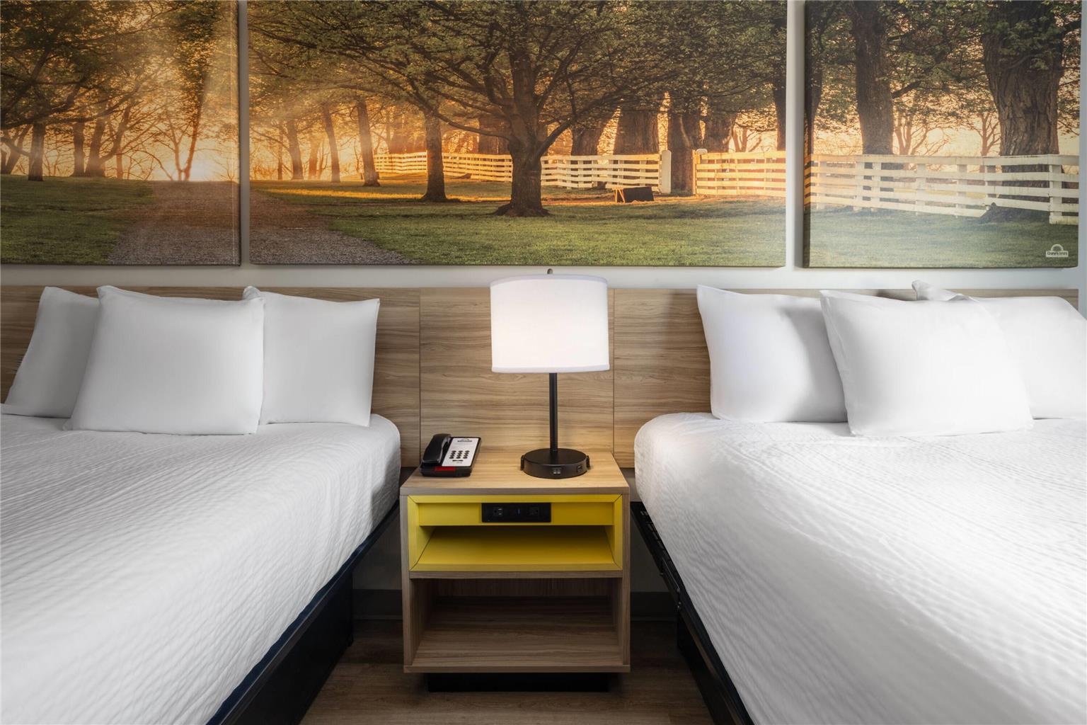 Days Inn by Wyndham Anderson - photo 33