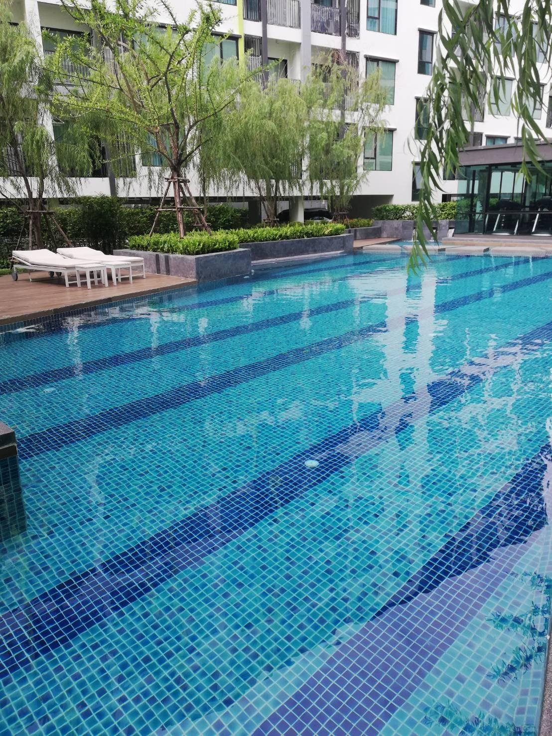 Niche Mono Sukhumvit 50 by Ariva