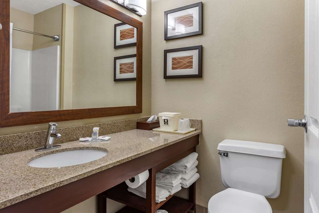 Comfort Inn Gurnee near Six Flags - photo 19