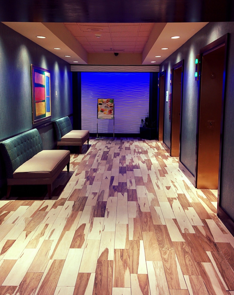 Holiday Inn Corpus Christi Downtown Marina by IHG - photo 35