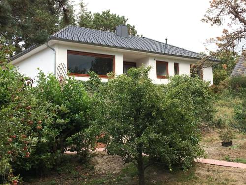 Ferienhaus Dünenschatz in Sankt Peter-Ording, Germany