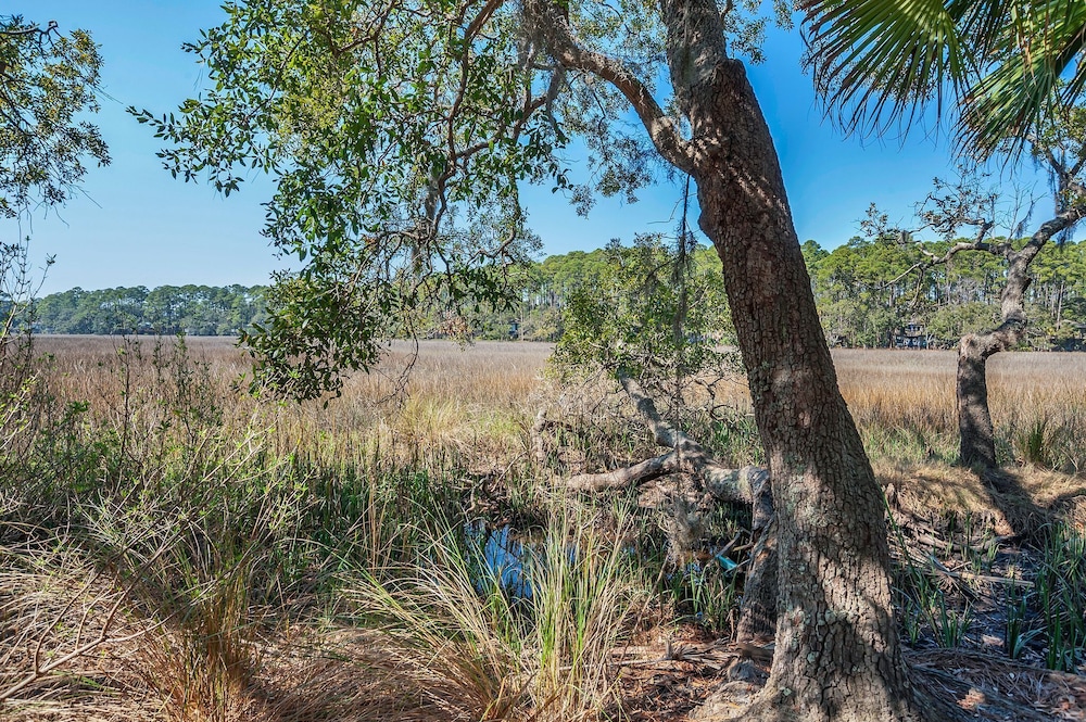 43 Stoney Creek at The Sea Pines Resort - photo 35