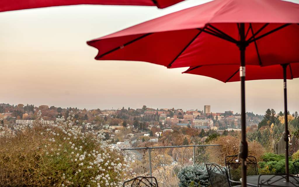 Coast Hilltop Inn - photo 14