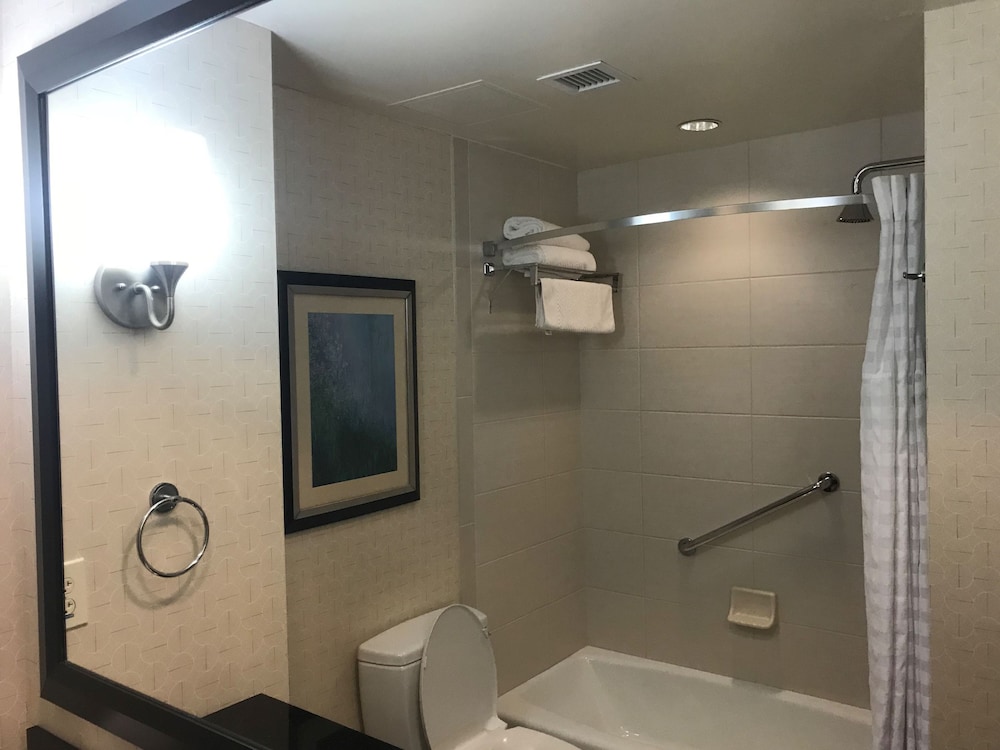 Hilton Asheville Biltmore Park - photo 37