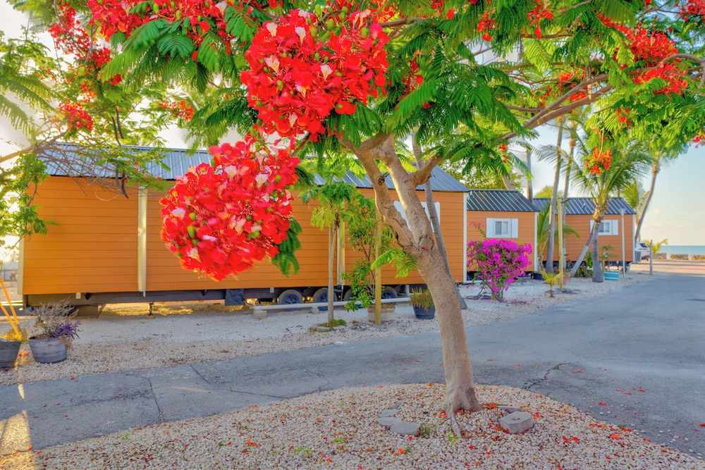 Aqua Lodges at 47th Street Gulfside - photo 2