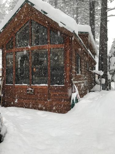 Cedar Pines Resort - photo 41