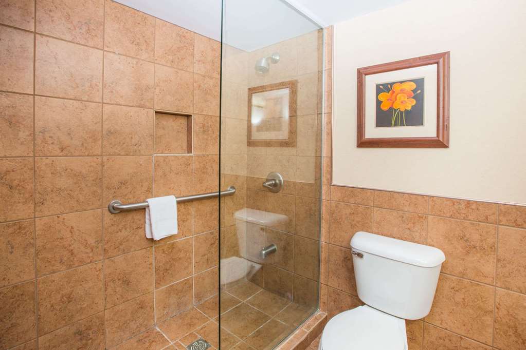 Ramada by Wyndham Des Moines Tropics Resort & Conference Ctr - photo 12