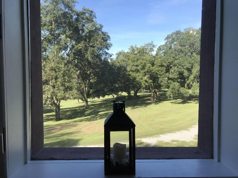Canemount Plantation Inn - photo 34