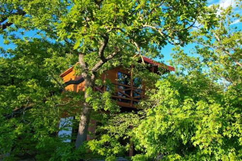 Villa Vejini cabin