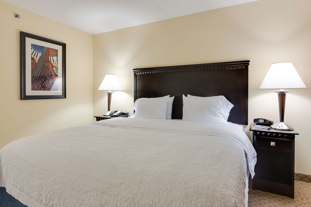 Hampton Inn & Suites Mt. Juliet - photo 20