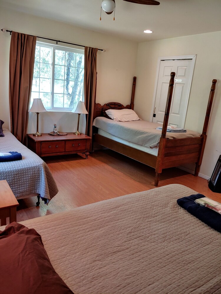 Bird Watcher Inn - photo 18
