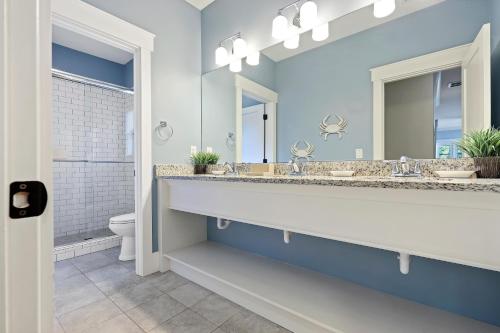 19 Sand Dollar - photo 42