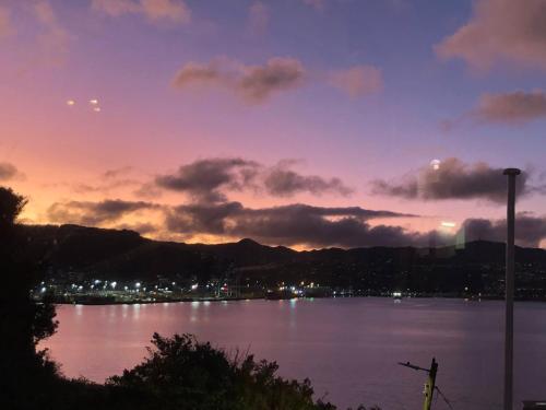 Incredible Views Luxurious Studio & Outdoor Living in Wellington, New Zealand