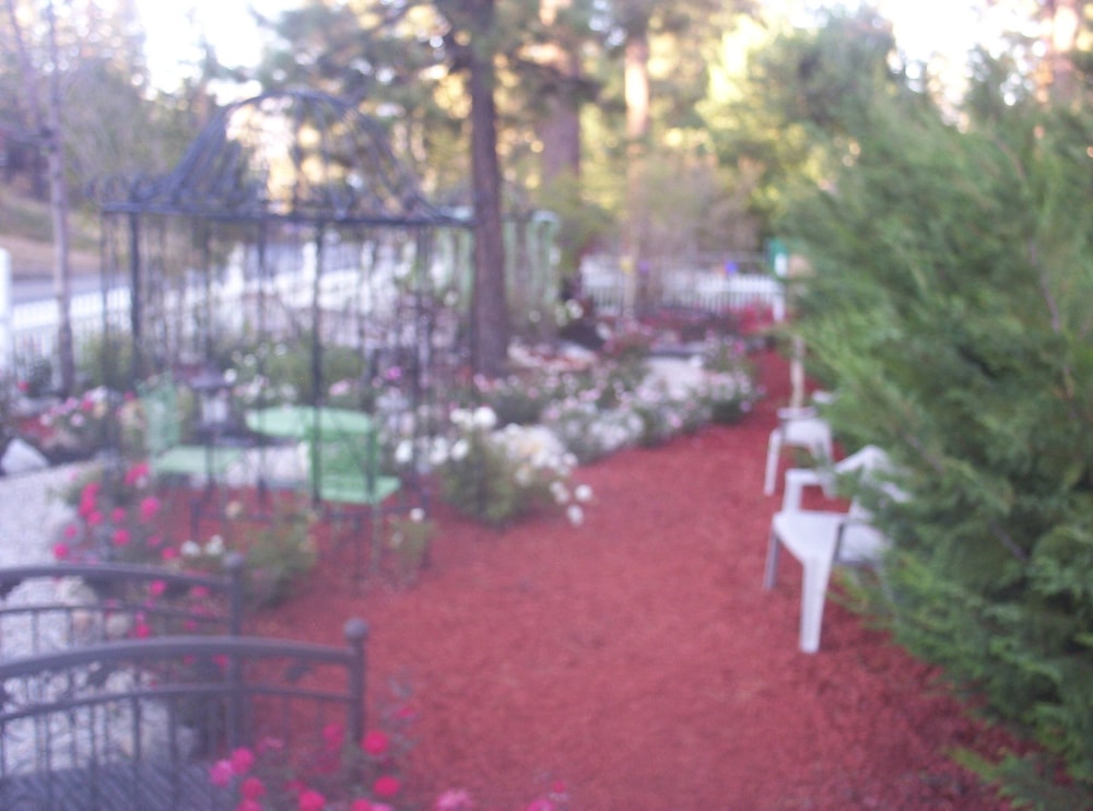 Big Bear Manor Spa Cabins - photo 22